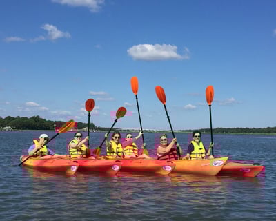 Private Island Dolphin & Kayak Tour