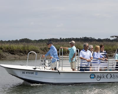 Hilton Head Dolphin Tour with Naturalist Guide