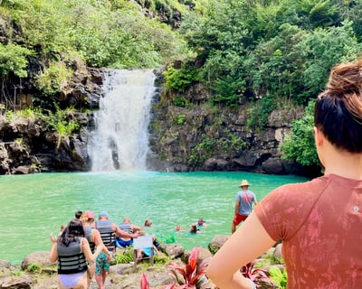 Waimea Valley Waterfall Hike, Coffee & Dole Tour