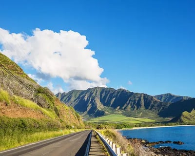 Private Oahu Circle Island Tour with Turtles