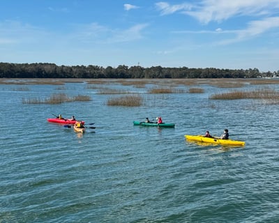 Skull Creek Marsh Kayaking Tour