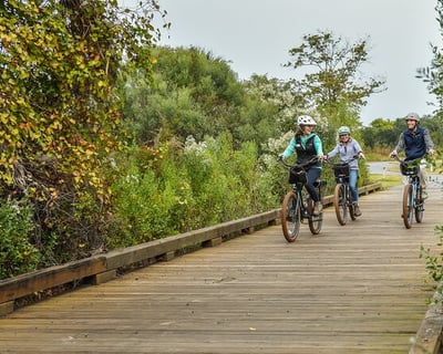 Hilton Head E-Bike Tour to Mitchelville with Picnic