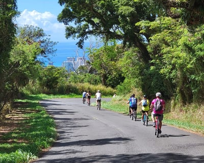 Oahu Rainforest Downhill Bike Ride