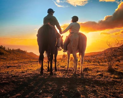 Oahu Sunset Horseback Ride with Mountain Views
