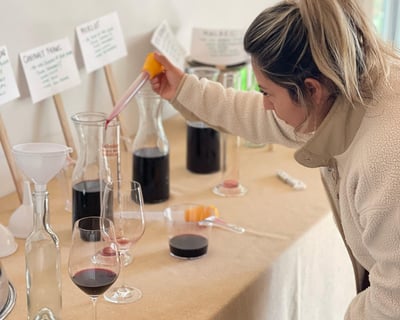 Winemaker for a Day Experience