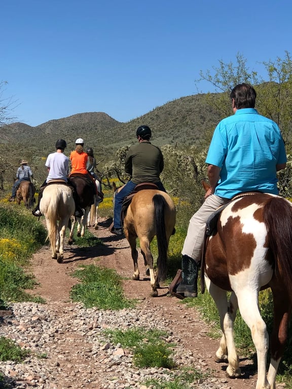 High Desert Trail Ride & Lesson on Historic Lands