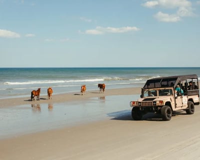 Outer Banks Wild Horse Hummer Tour