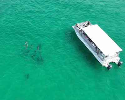 Private Crab Island Tour for Up to 49 Passengers