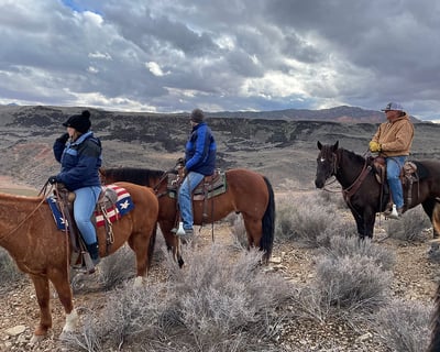 Scenic Overlook of Eagle Mountain Ranch Horseback Ride