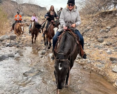 Riverside Ride Horseback Adventure