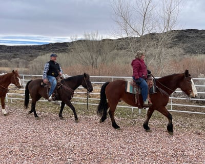 Ranch Horseback Ride