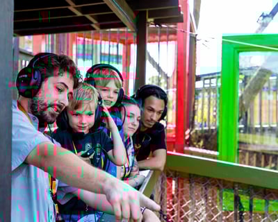 Gator Beach Discovery Tour