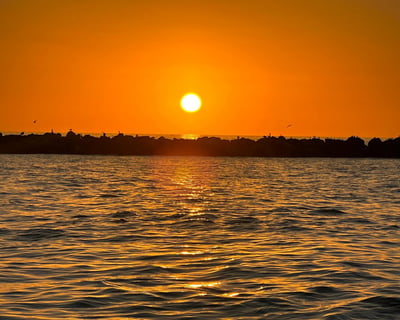 SeaQuest Sunset Dolphin Cruise