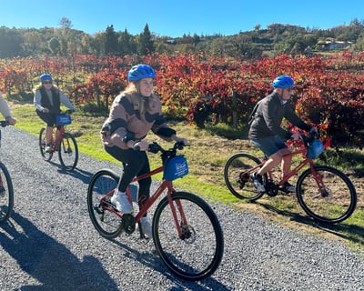Healdsburg Bike Rentals for Wine Country Exploration