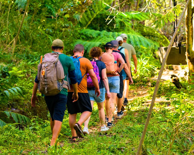 Waterfall & Rainforest Hiking Adventure With South Maui Transfers