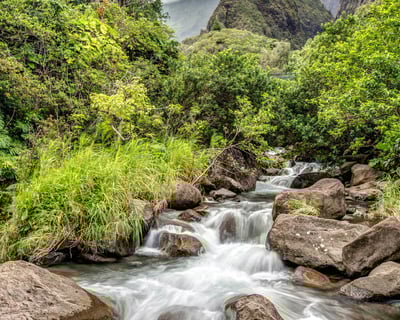 ‘Iao Valley Excursion