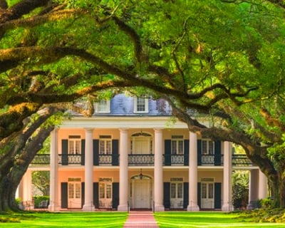 Destrehan Plantation and Small Airboat Swamp Tour