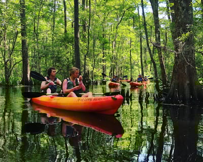 Bayou Bienvenue Kayak Rental in New Orleans