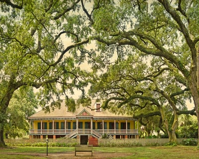 Laura Plantation Tour with Transportation