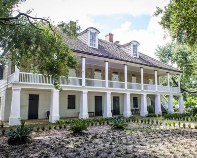Whitney Plantation and Small Airboat Swamp Tour