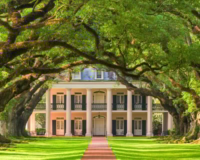 Oak Alley Plantation Tour and Small Airboat Ride