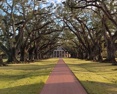Oak Alley and Laura Plantations Combo Tour