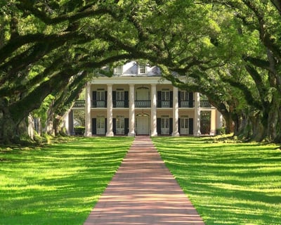 Oak Alley or Laura Plantation Tour