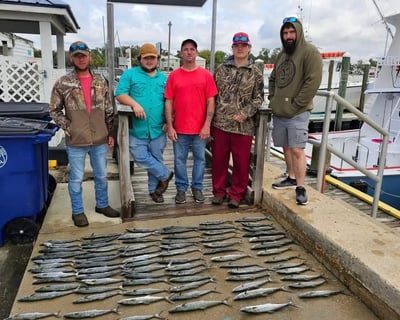 4-Hour Spanish Mackerel Private Fishing Charter