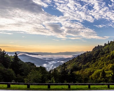 Smoky Mountains Newfound Gap Tour