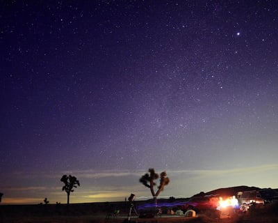 Astronomer-Led Stargazing in Joshua Tree