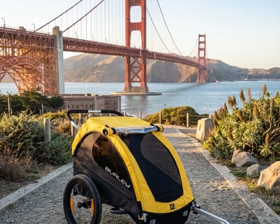 Electric Bike and Trailer Rental