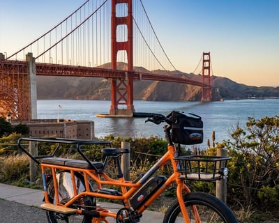 RadWagon 4 Electric Cargo Bike Rental