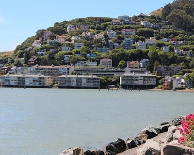 Muir Woods and Sausalito Tour from Fisherman's Wharf