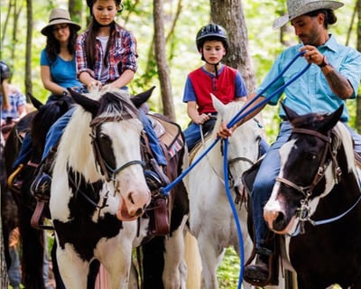 Private Guided Horseback Trail Ride
