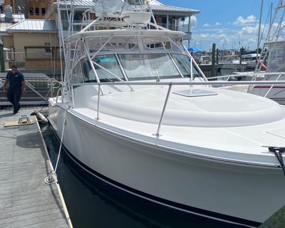 31-Foot Luhrs Private Charter in Virginia Beach