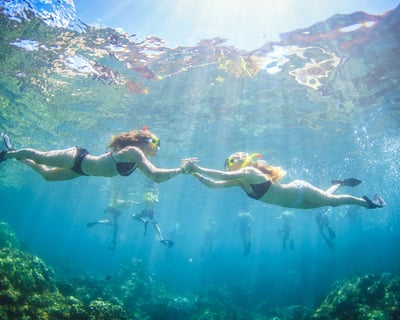 AM Serenity Snorkel from Ka'anapali Beach