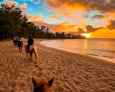 Oahu Oceanfront Sunset Group Horseback Ride
