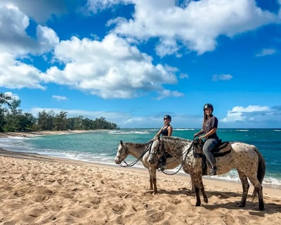 Oahu Oceanfront & Mountain Horseback Rides