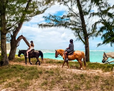 North Shore Oceanfront Horseback Ride