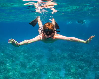 Molokini and Turtle Arches Snorkel from Ma'alaea