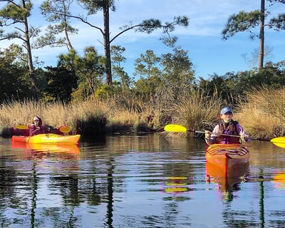 Kitty Hawk Maritime Forest & Marsh Kayak Tour