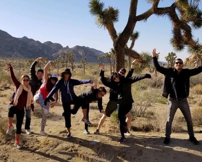 Joshua Tree National Park Sightseeing Tour