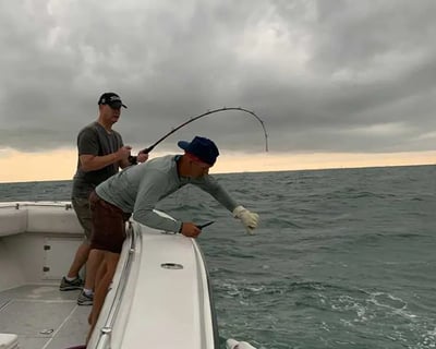 6-Hour Shark Fishing Charter in Galveston