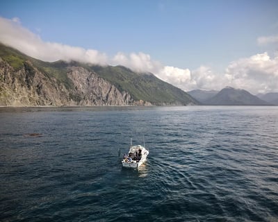 Halibut Fishing Charter in Homer