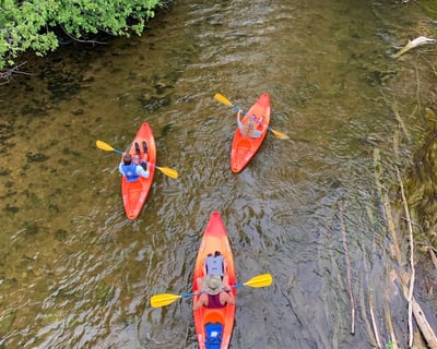 Shuttle Your Private Solo Kayak on Sturgeon River