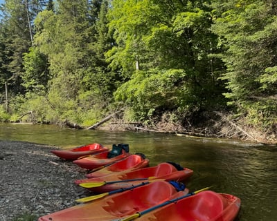 Single Sit-In Kayak Rental for 1-7 Days