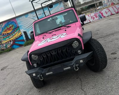 Cruise Houston on a 2-Hour Private Party Truck