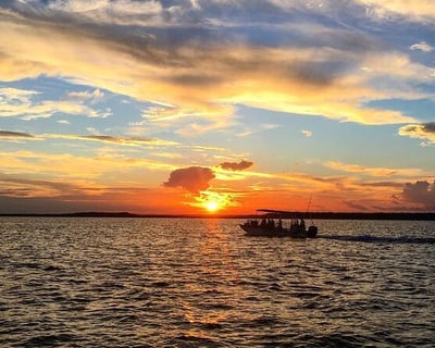 Sunset Dolphin Eco Cruise in Savannah