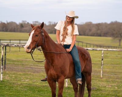 2-Hour Lunch Horseback Ride in Brenham