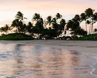 Private Ten Thousand Islands Shelling Charter